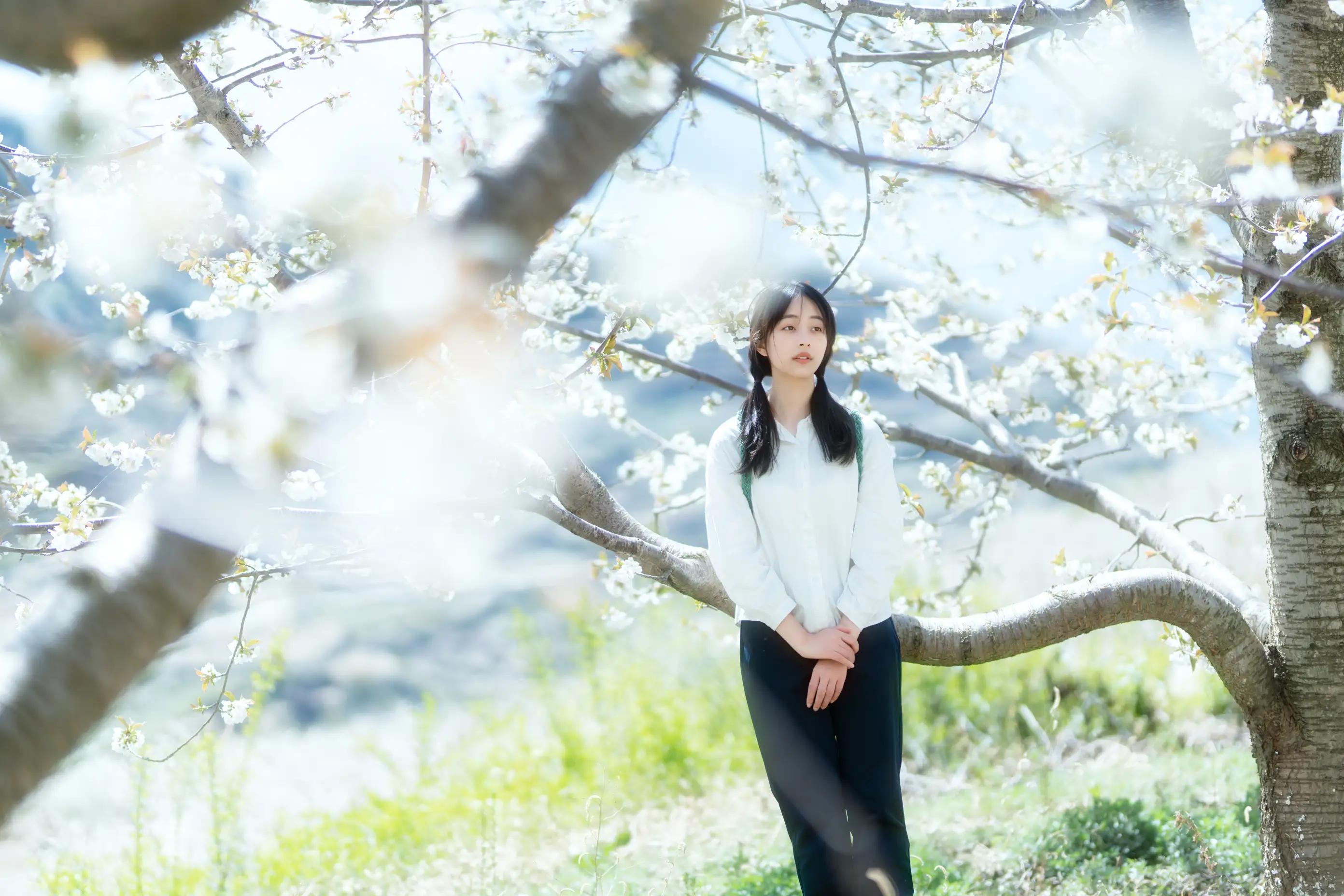 [艺图语] 2021.12.27 Vol.536 – 故乡的小燕子 欢欢#[36P]-8