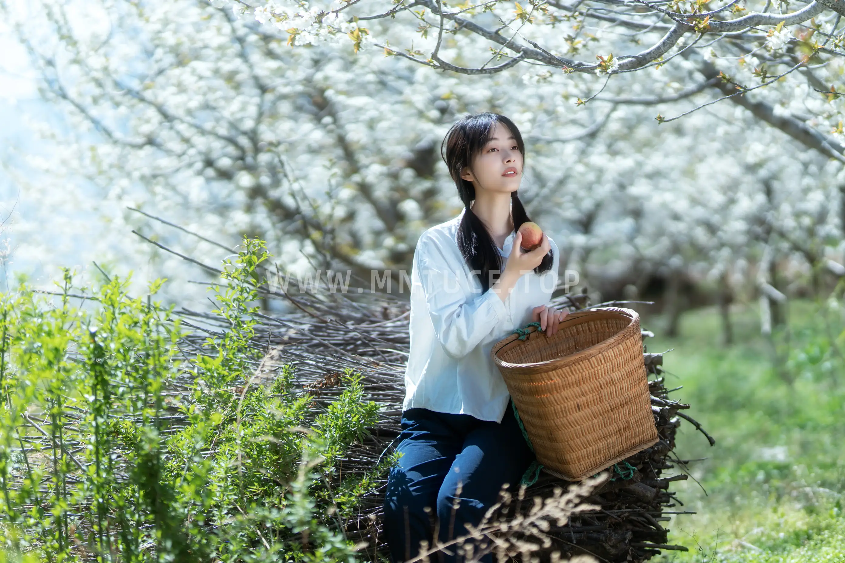 [艺图语] 2021.12.27 Vol.536 – 故乡的小燕子 欢欢#[36P]-9