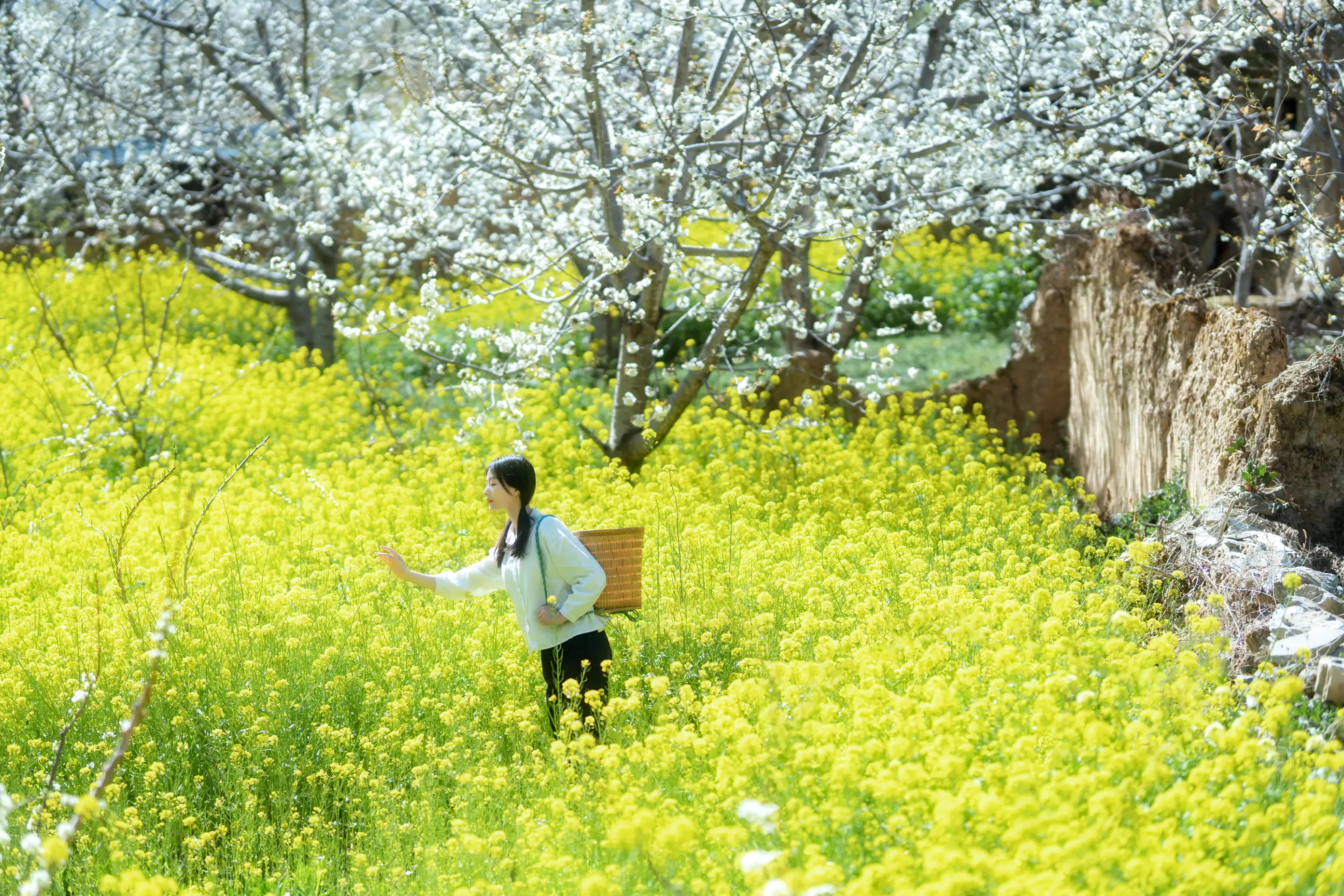 [艺图语] 2021.12.27 Vol.536 – 故乡的小燕子 欢欢#[36P]-3