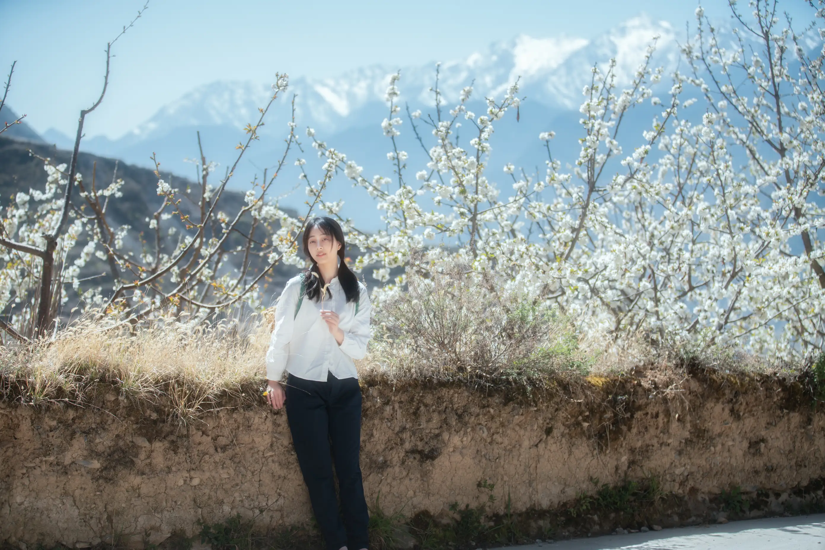 [艺图语] 2021.12.27 Vol.536 – 故乡的小燕子 欢欢#[36P]-1