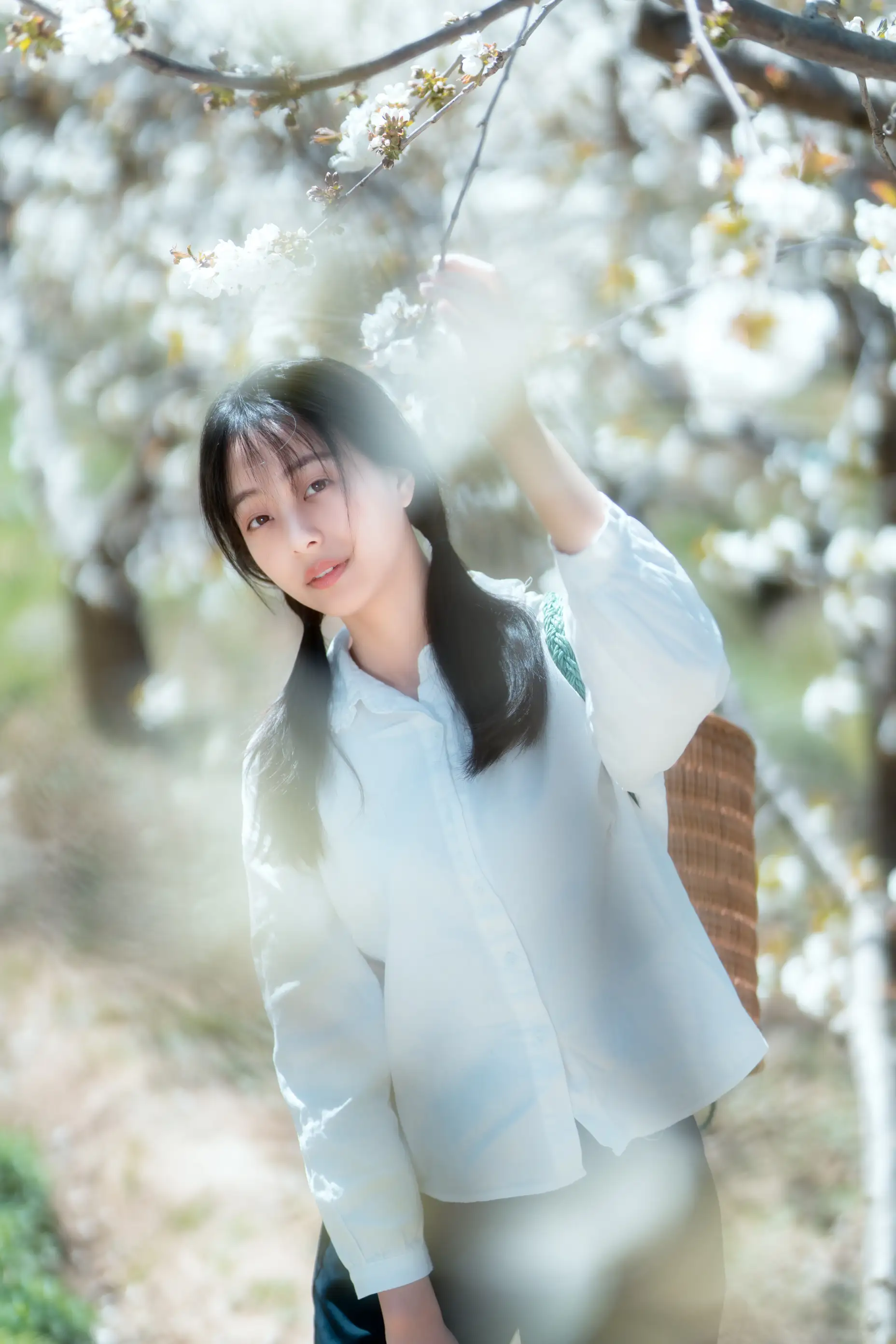 [艺图语] 2021.12.27 Vol.536 – 故乡的小燕子 欢欢#[36P]-3