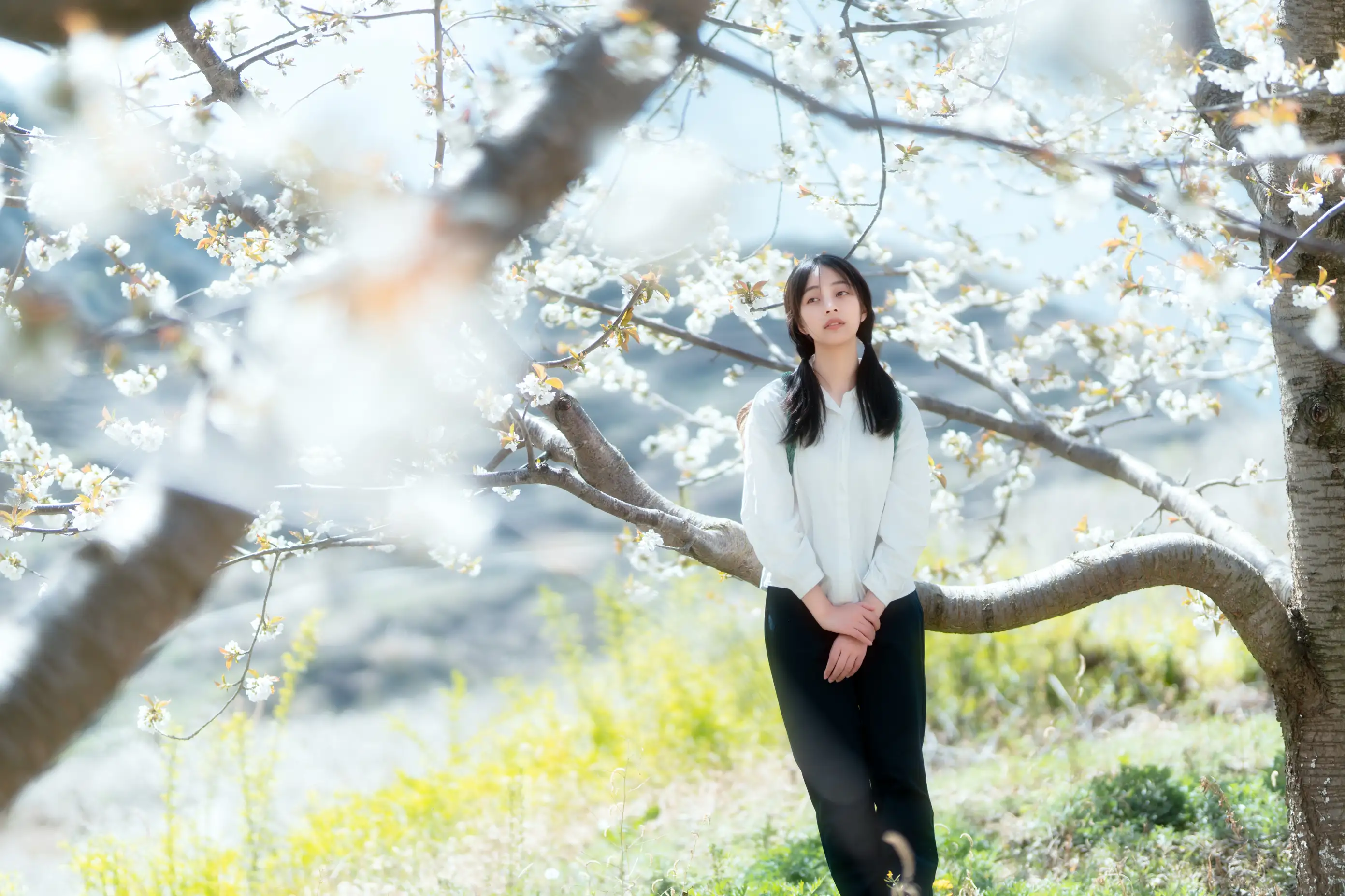 [艺图语] 2021.12.27 Vol.536 – 故乡的小燕子 欢欢#[36P]-4