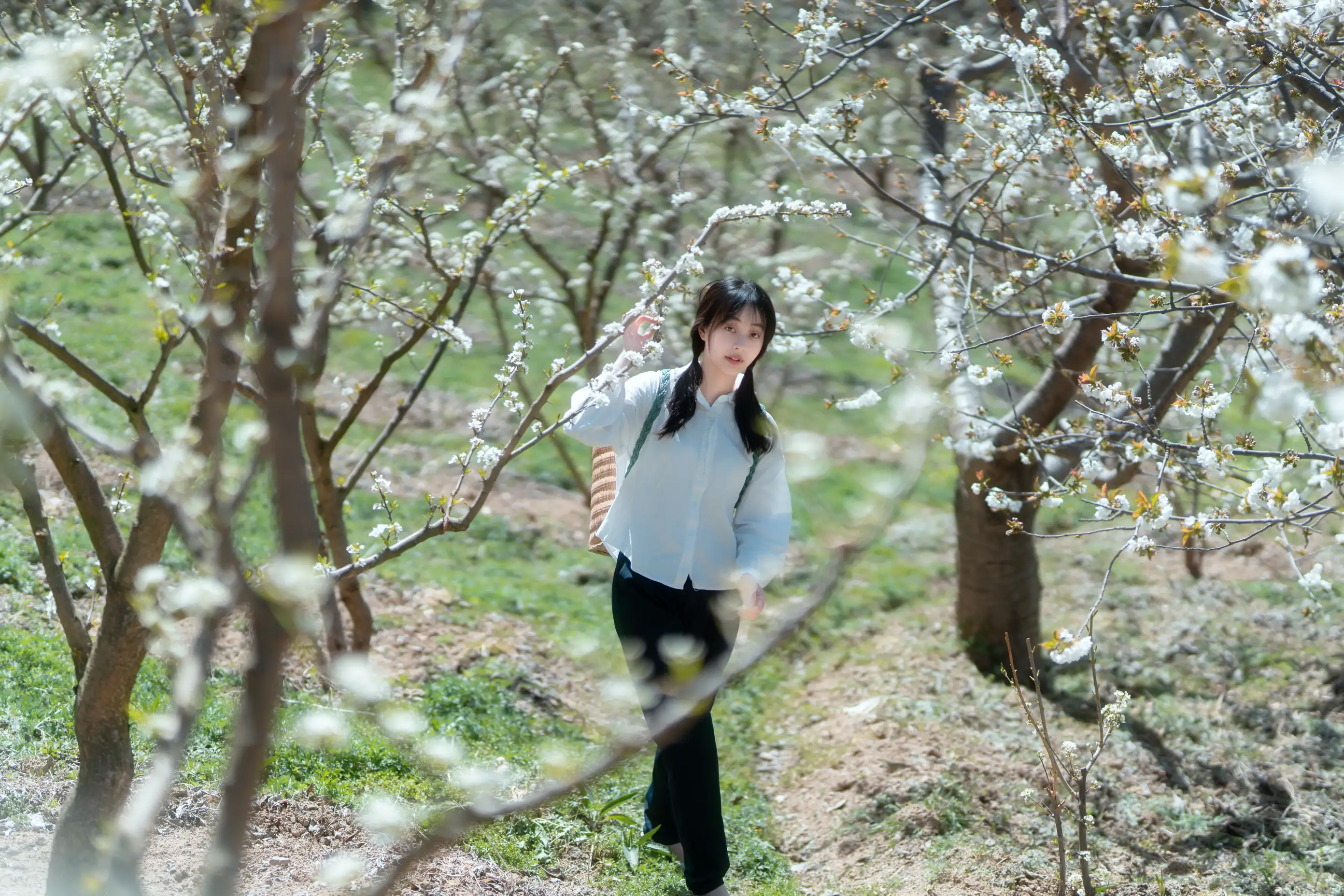 [艺图语] 2021.12.27 Vol.536 – 故乡的小燕子 欢欢#[36P]-6