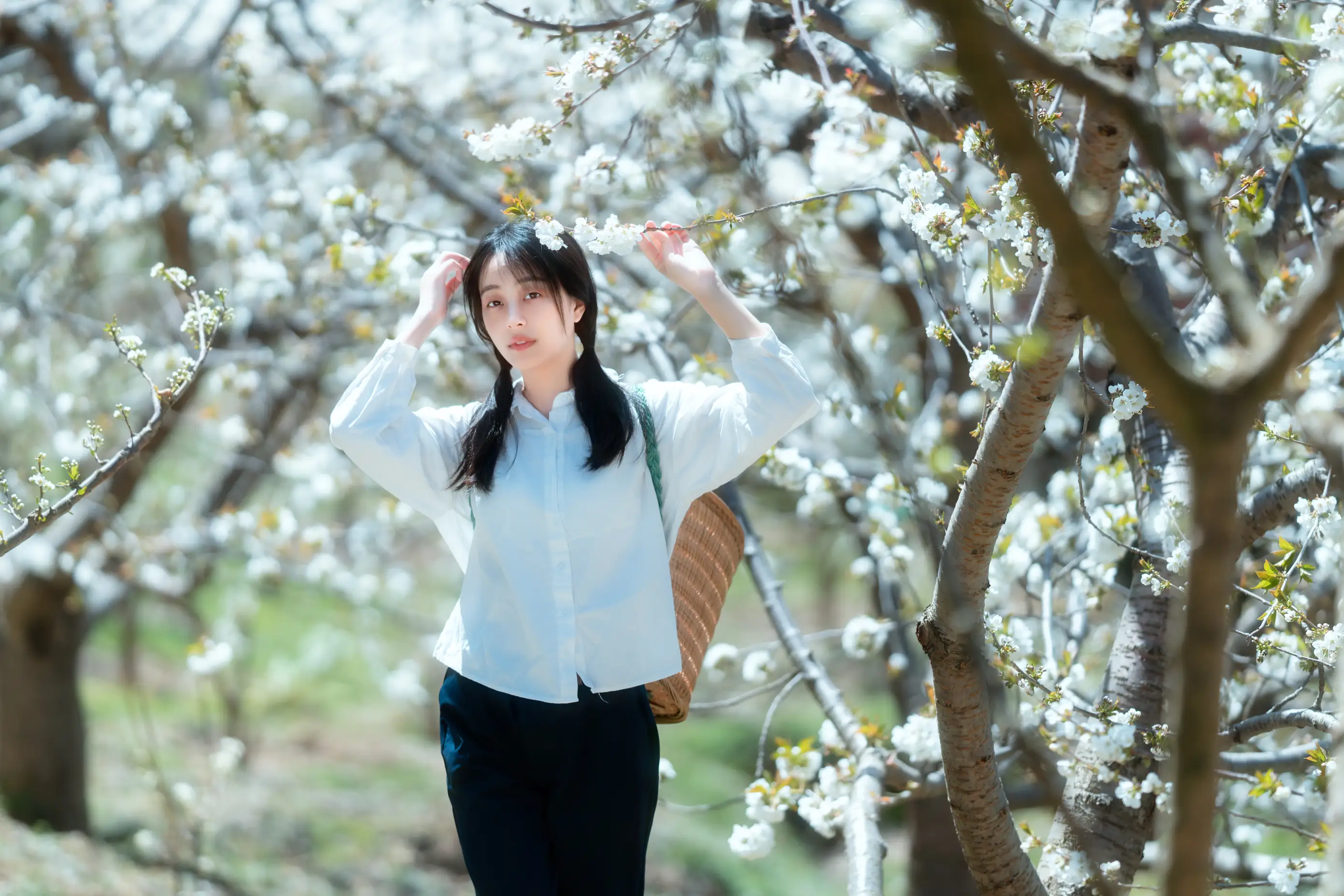 [艺图语] 2021.12.27 Vol.536 – 故乡的小燕子 欢欢#[36P]-5