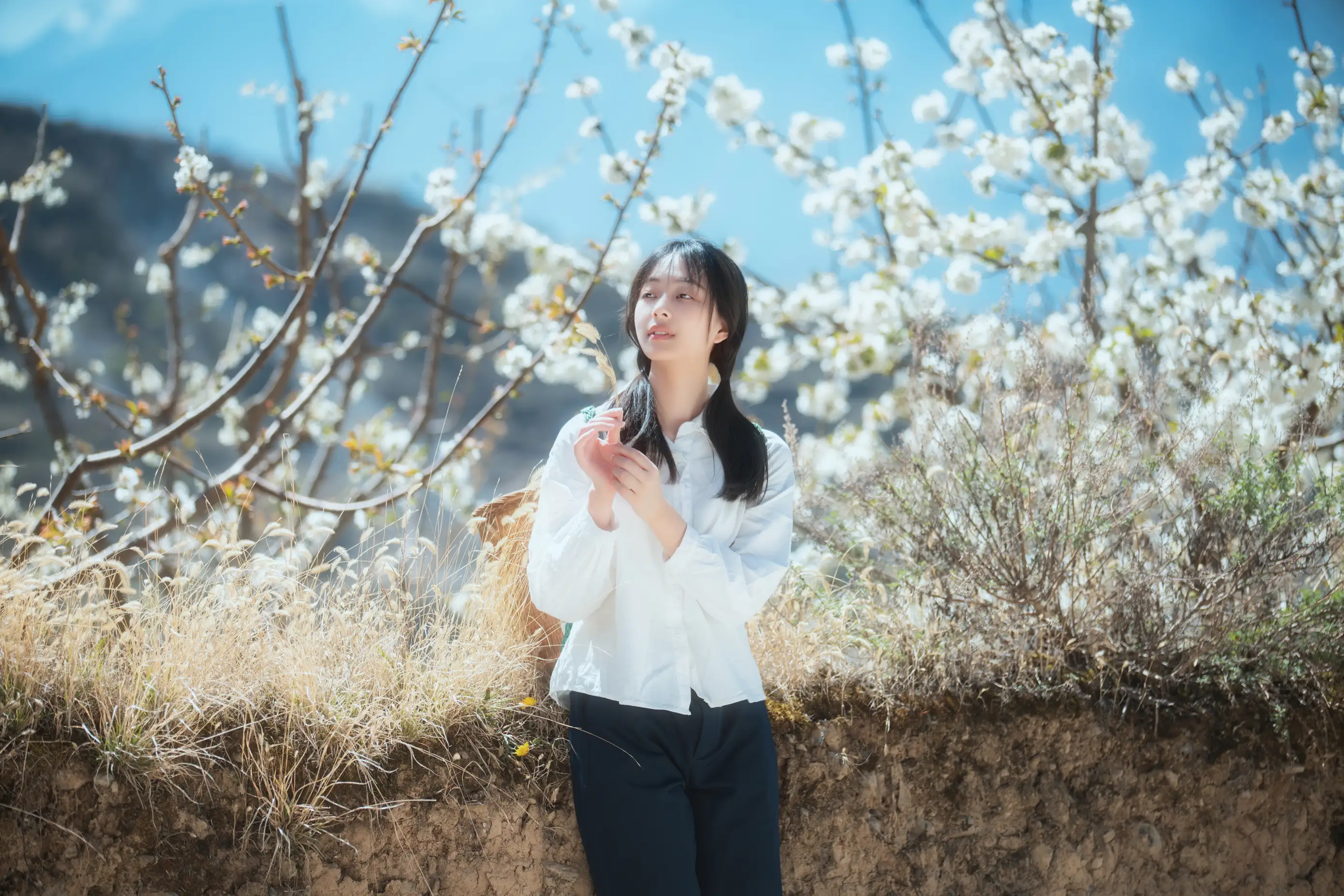 [艺图语] 2021.12.27 Vol.536 – 故乡的小燕子 欢欢#[36P]-8