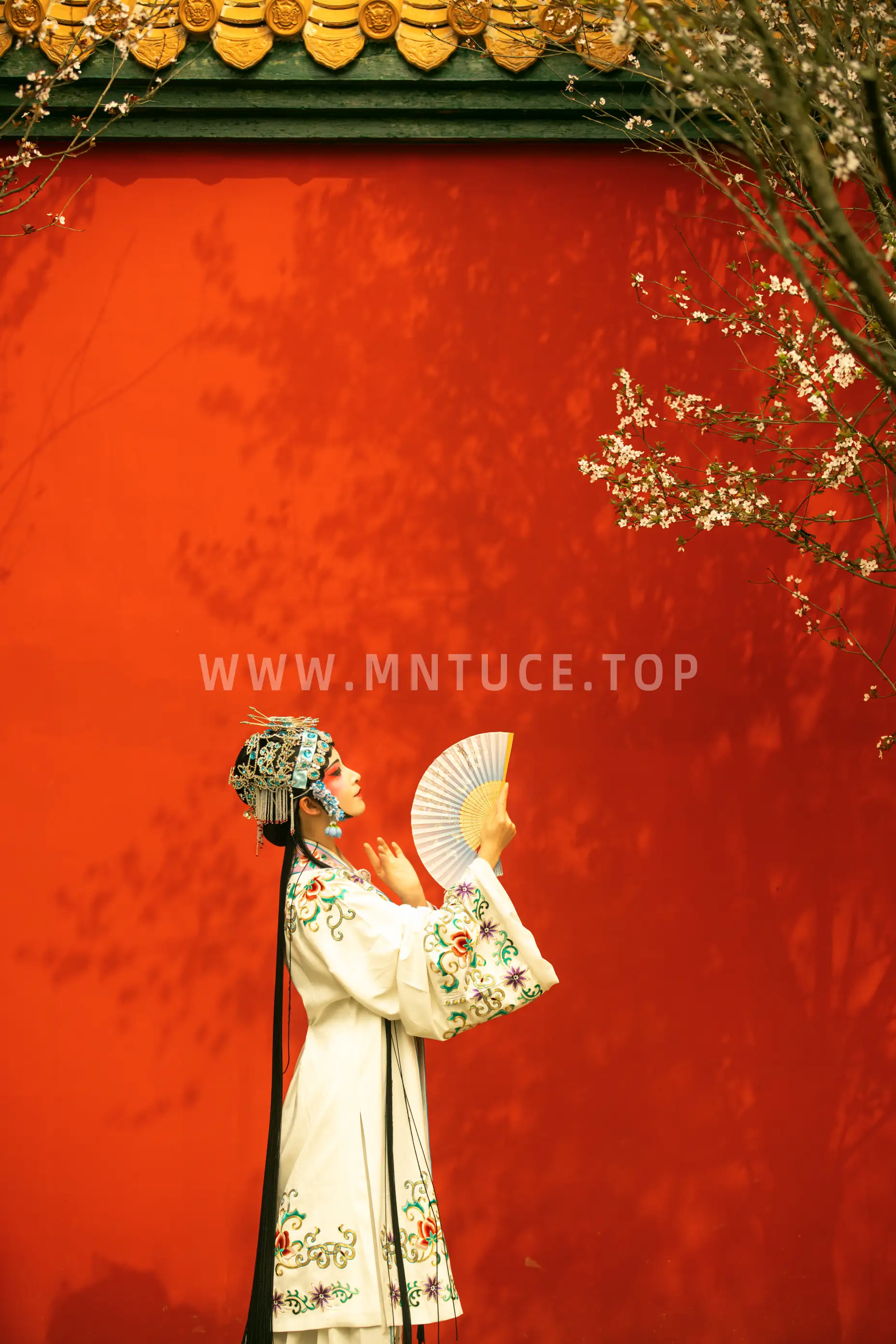 [艺图语] 2021.12.18 Vol.499 – 花满枝 修水凝花#[23P]-9