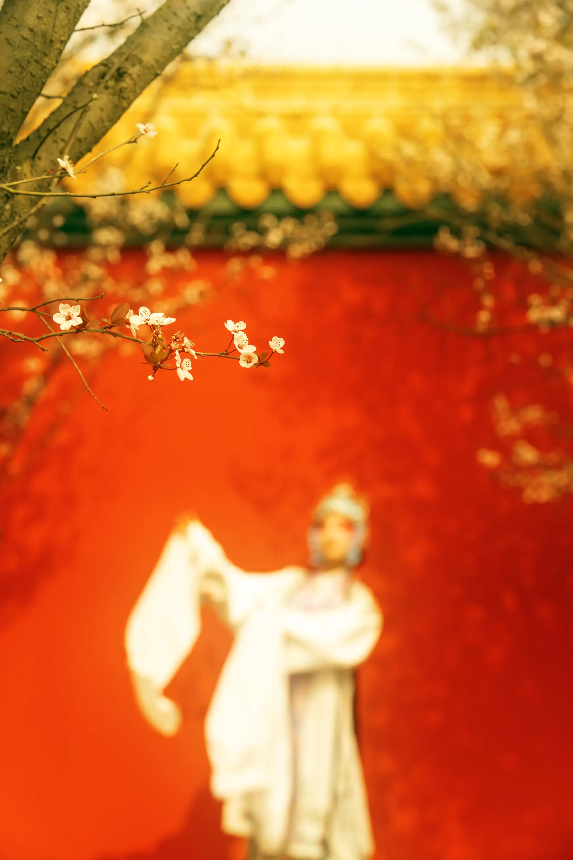 [艺图语] 2021.12.18 Vol.499 – 花满枝 修水凝花#[23P]-3