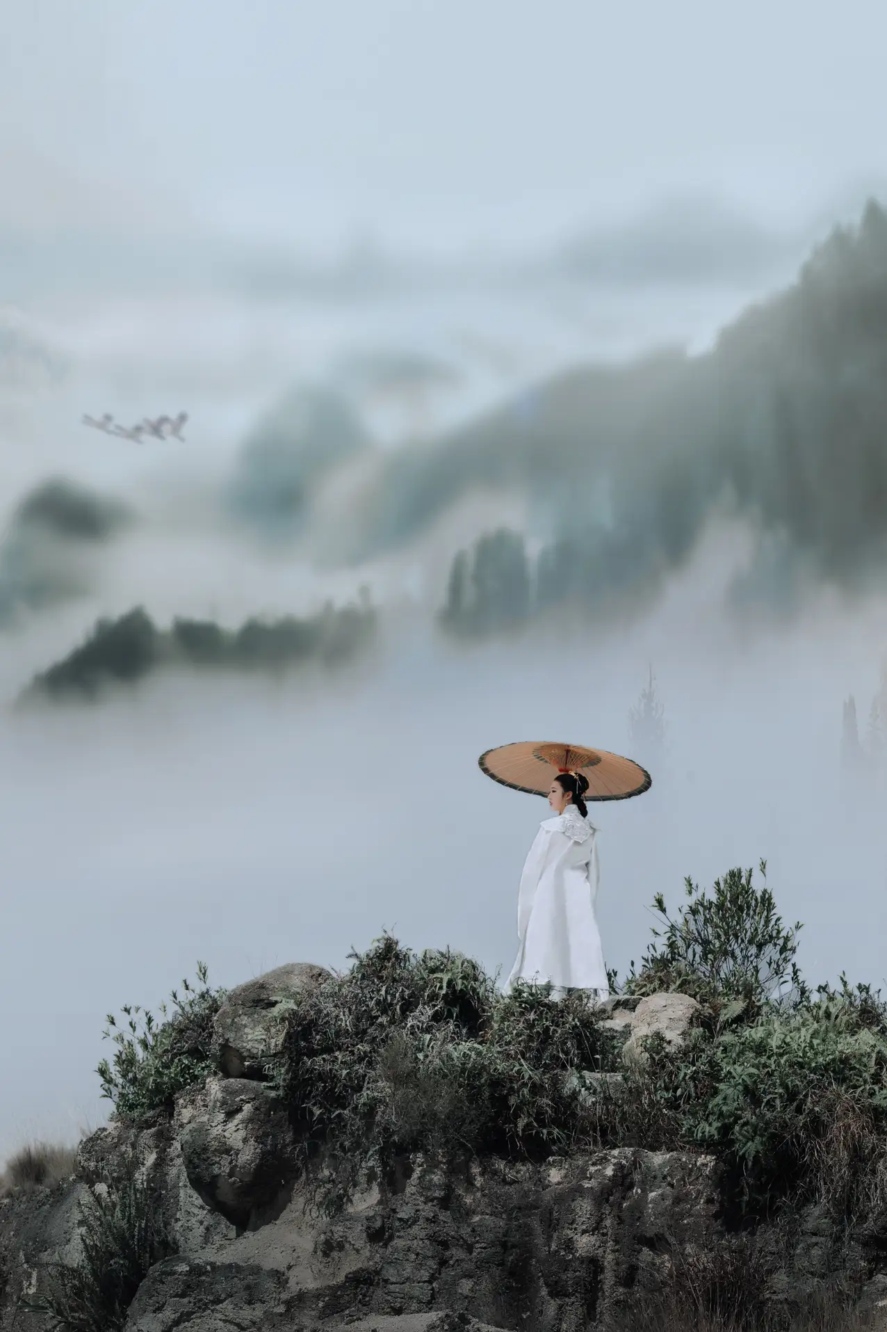 [艺图语] 2021.09.04 Vol.251 – 望归尘 杍愉#[24P]-1