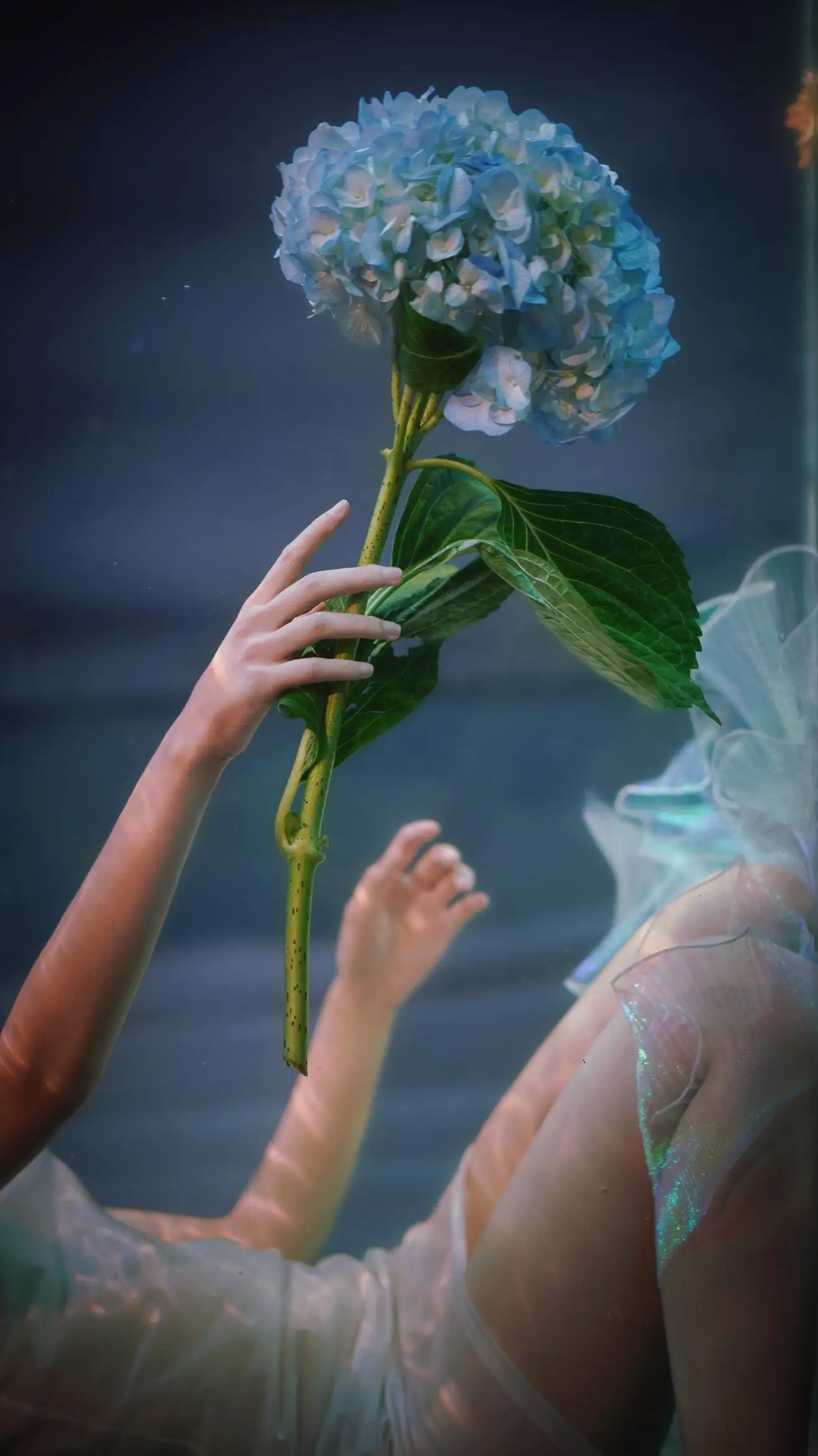 [艺图语] 2022.09.05 Vol.1876 – 水底的告白 曼球#[28P]-3