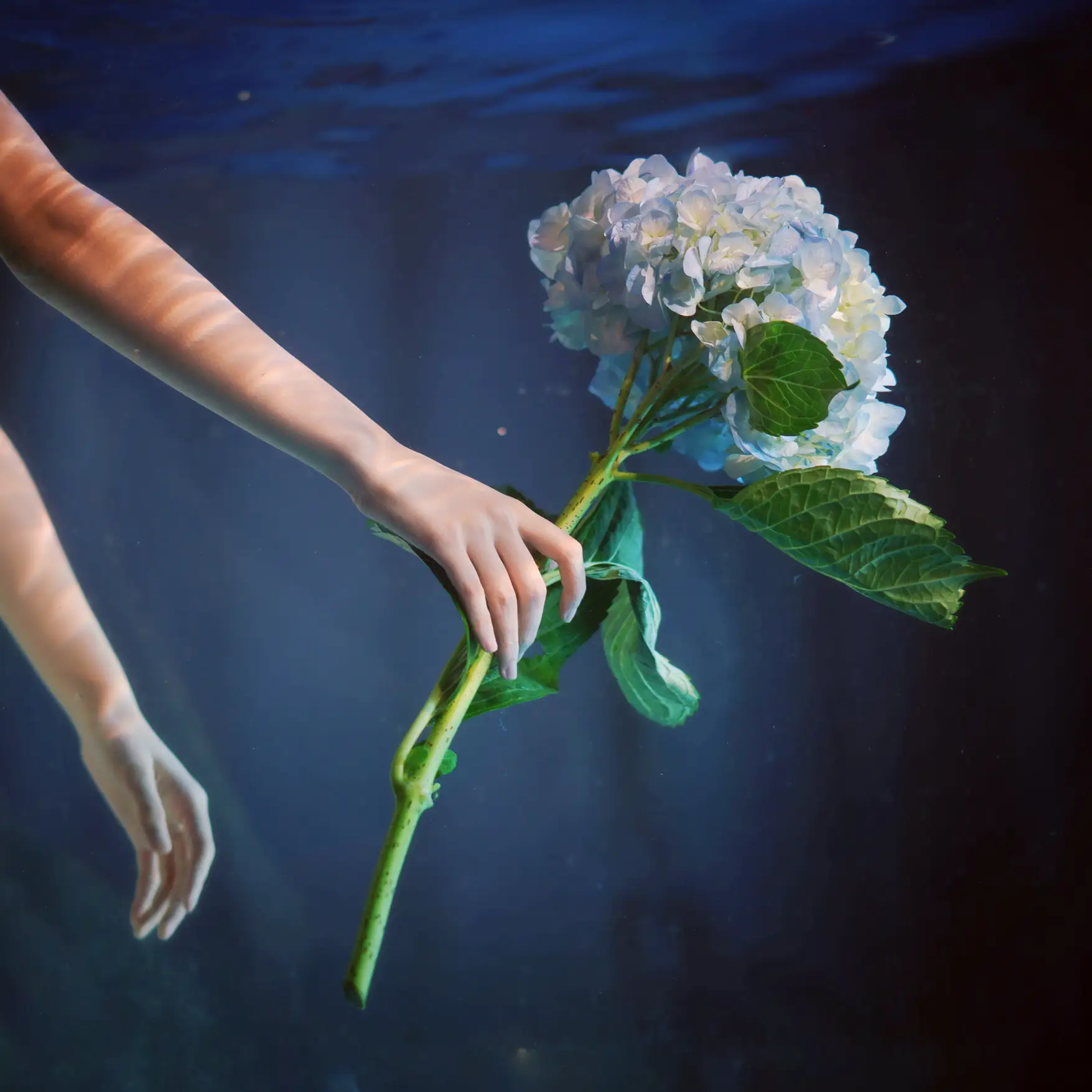 [艺图语] 2022.09.05 Vol.1876 – 水底的告白 曼球#[28P]-6