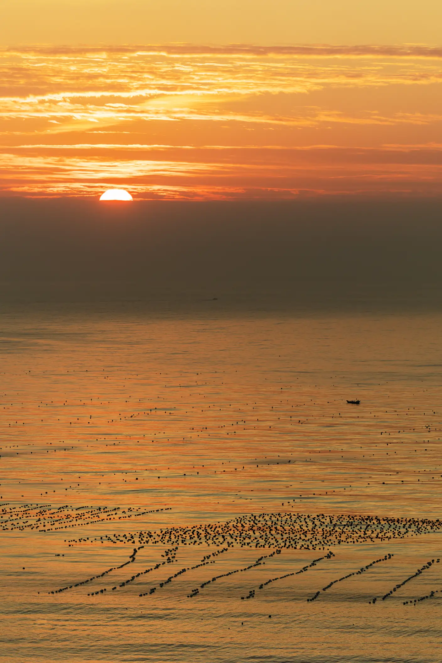 [艺图语] 2022.05.25 Vol.0976 – 奔向海角 兔子Zzz不吃胡萝卜#[25P]-5