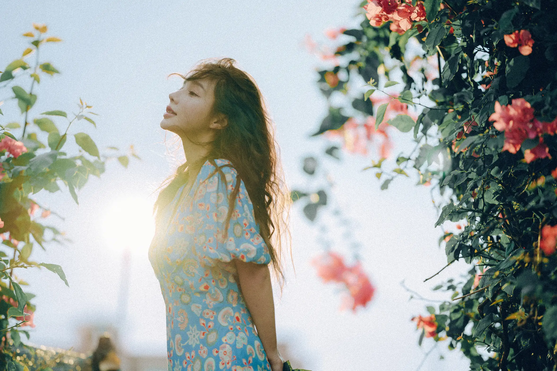 [艺图语] 2022.06.25 Vol.1282 – 发光的发丝，三角梅瀑布下的女神 姝雯同学#[55P]-7