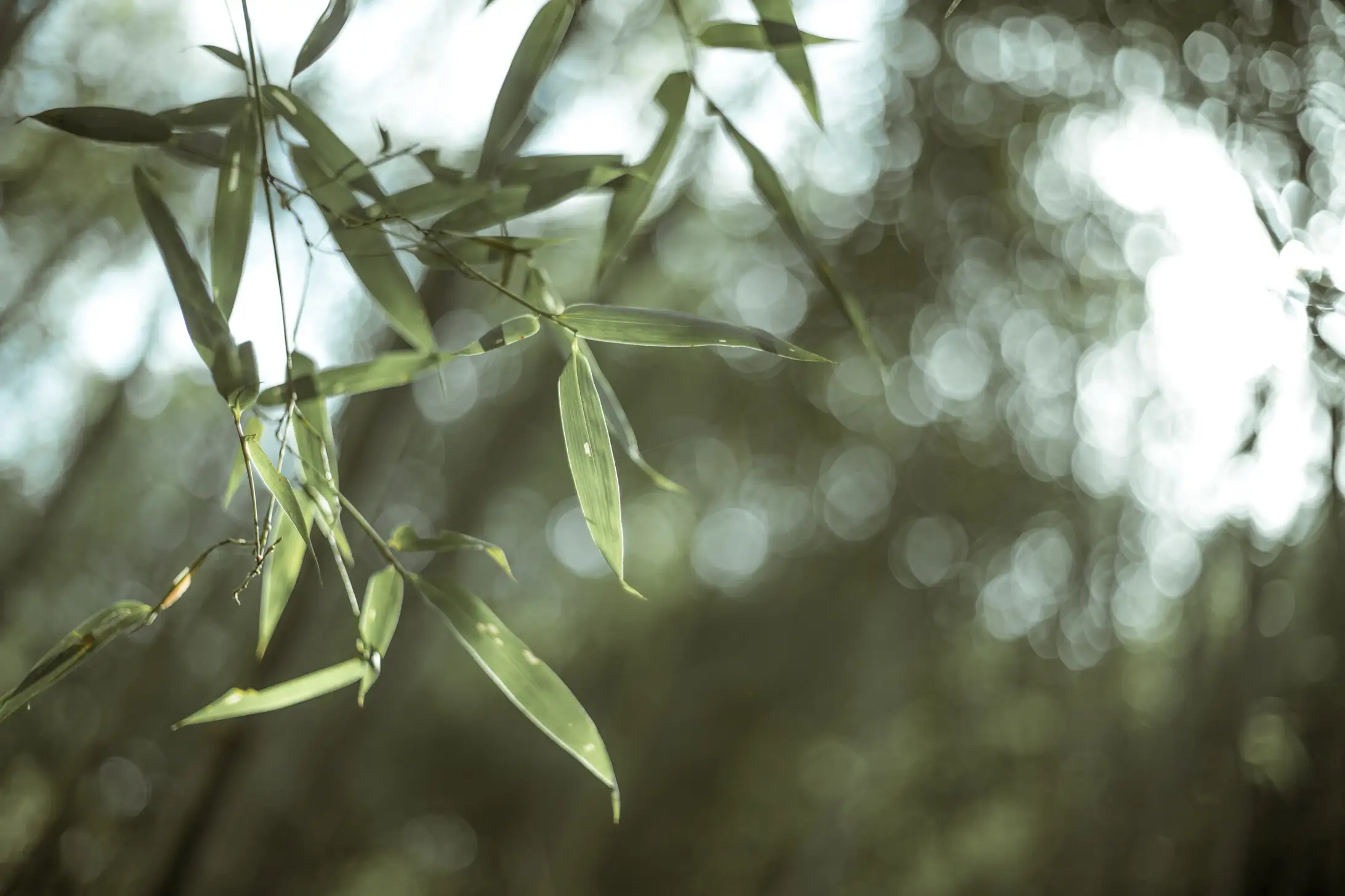 [艺图语] 2022.05.15 Vol.889 – 寒山客 清沅斋#[20P]-3