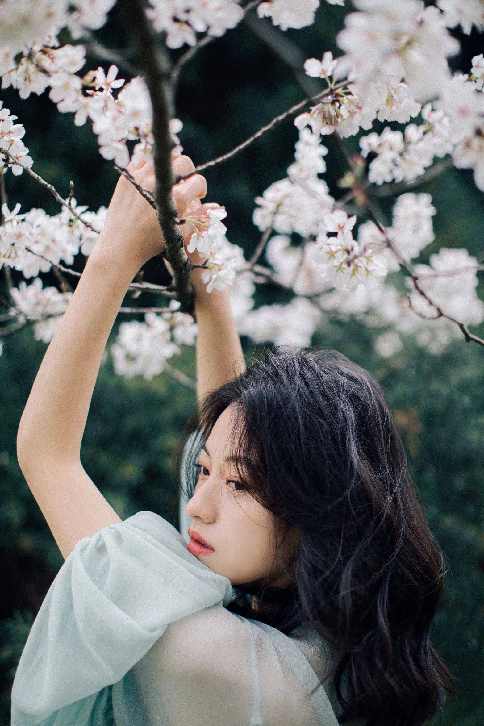 [艺图语] 2022.05.27 Vol.1002 – 落樱缤纷 九月#[28P]-1