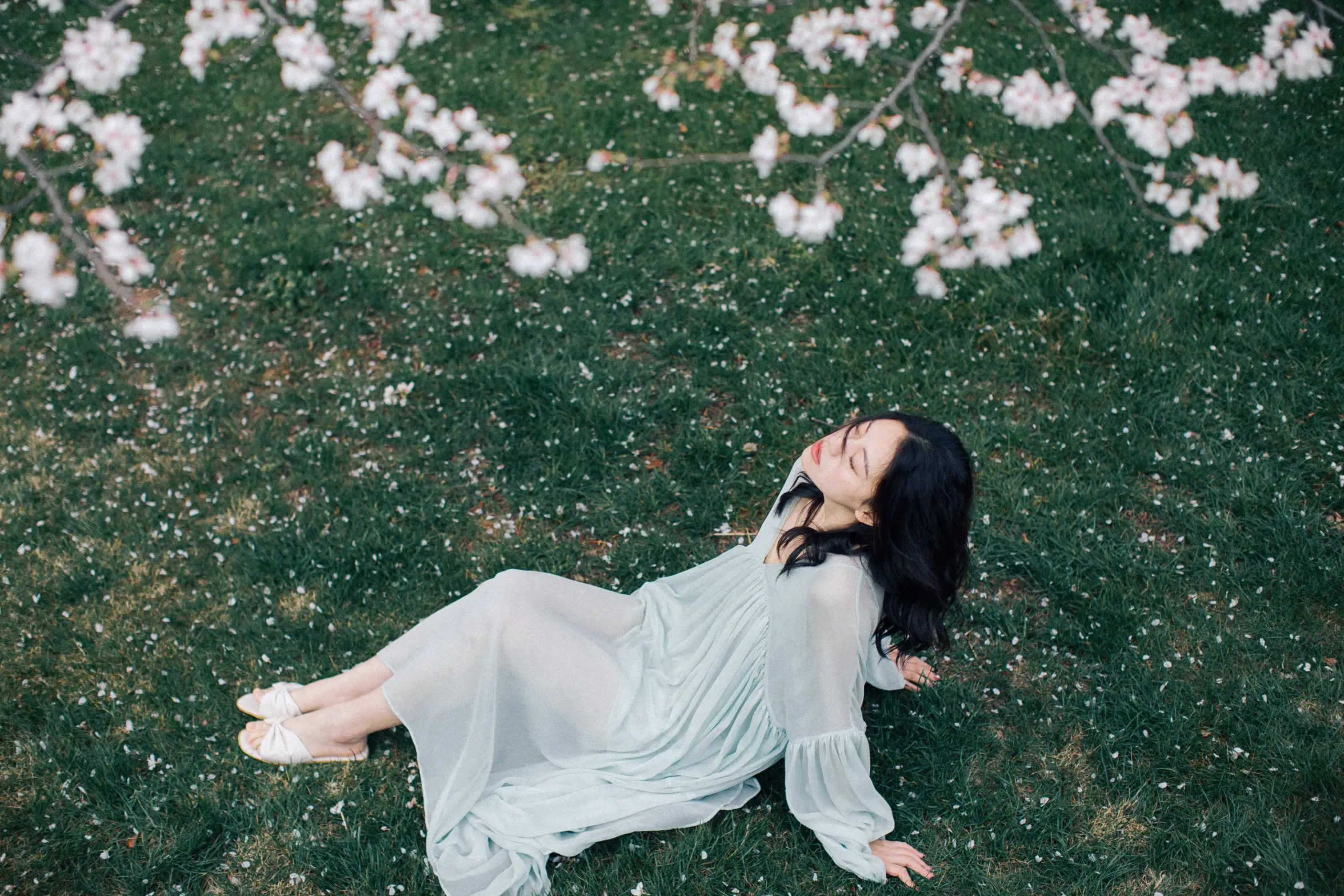 [艺图语] 2022.05.27 Vol.1002 – 落樱缤纷 九月#[28P]-3