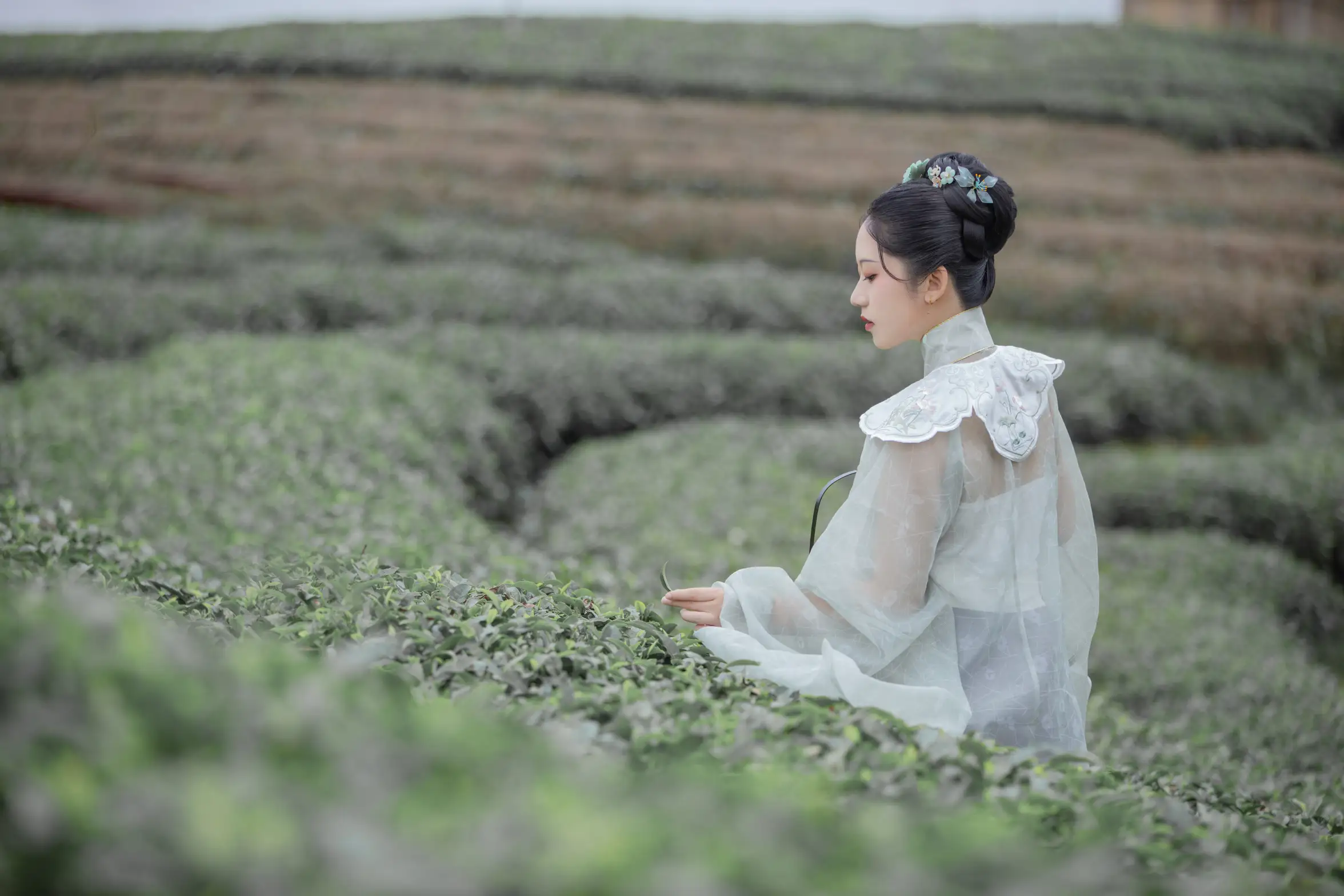 [艺图语] 2022.07.07 Vol.1402 – 茶记 katycat#[20P]-6