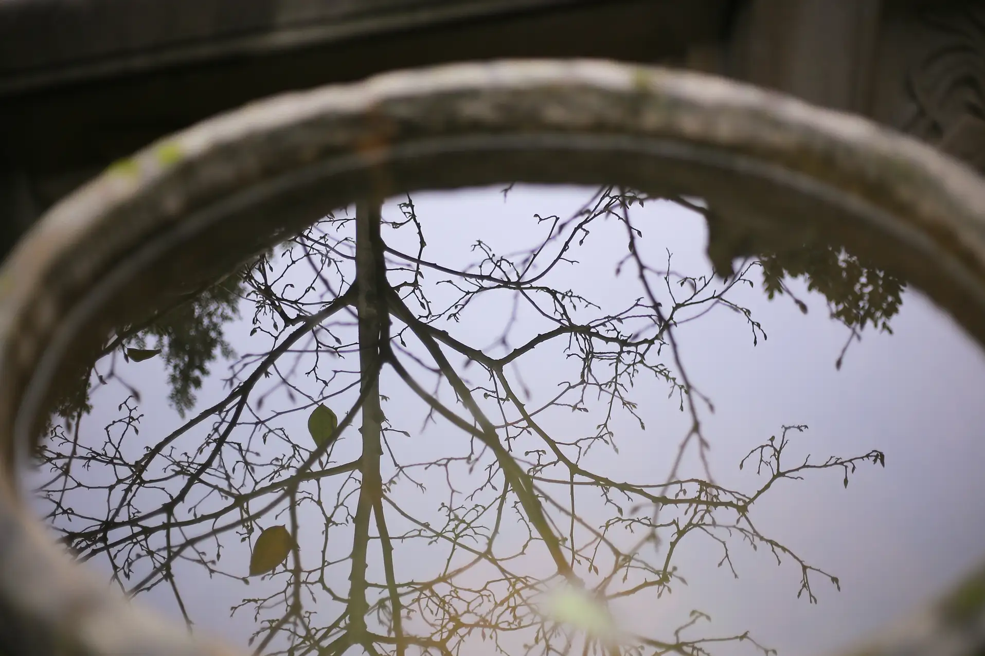 [艺图语] 2021.11.16 Vol.451 – 春怨 沂越#[41P]-10