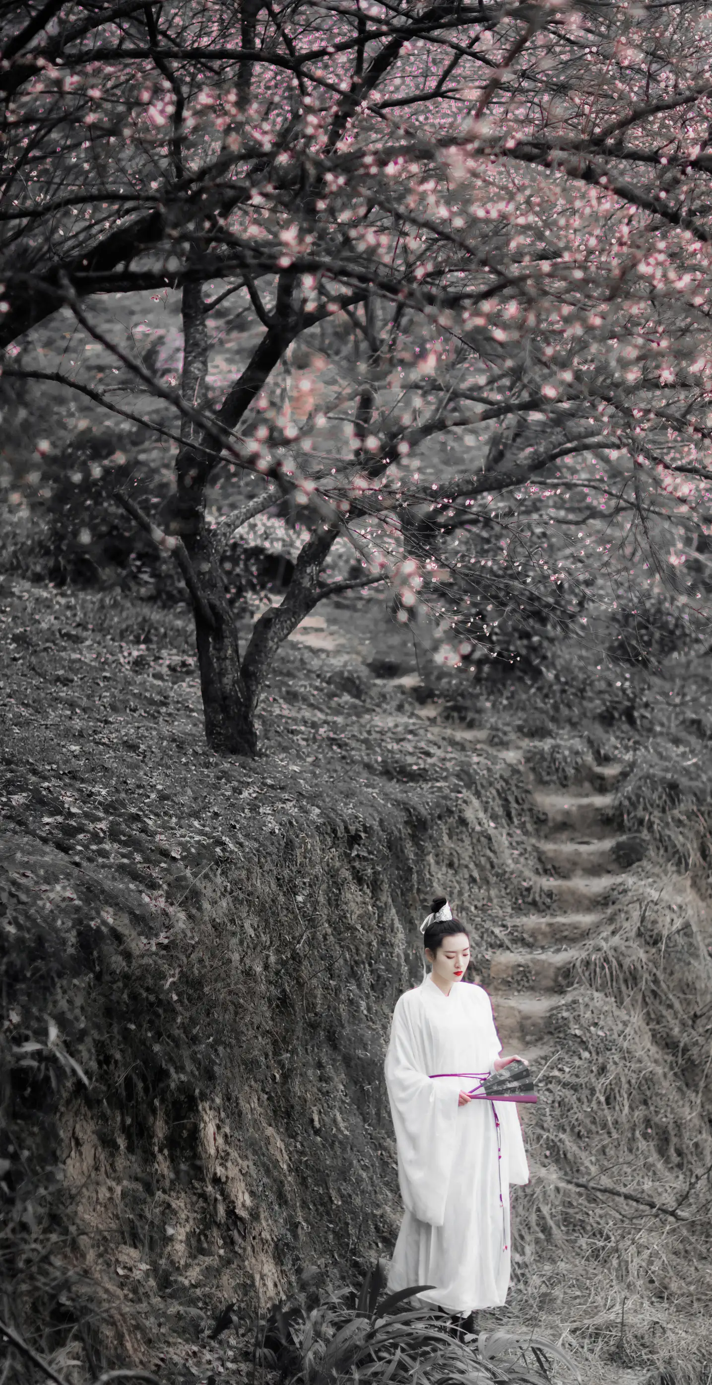 [艺图语] 2021.12.17 Vol.498 – 香如故 明月#[36P]-10