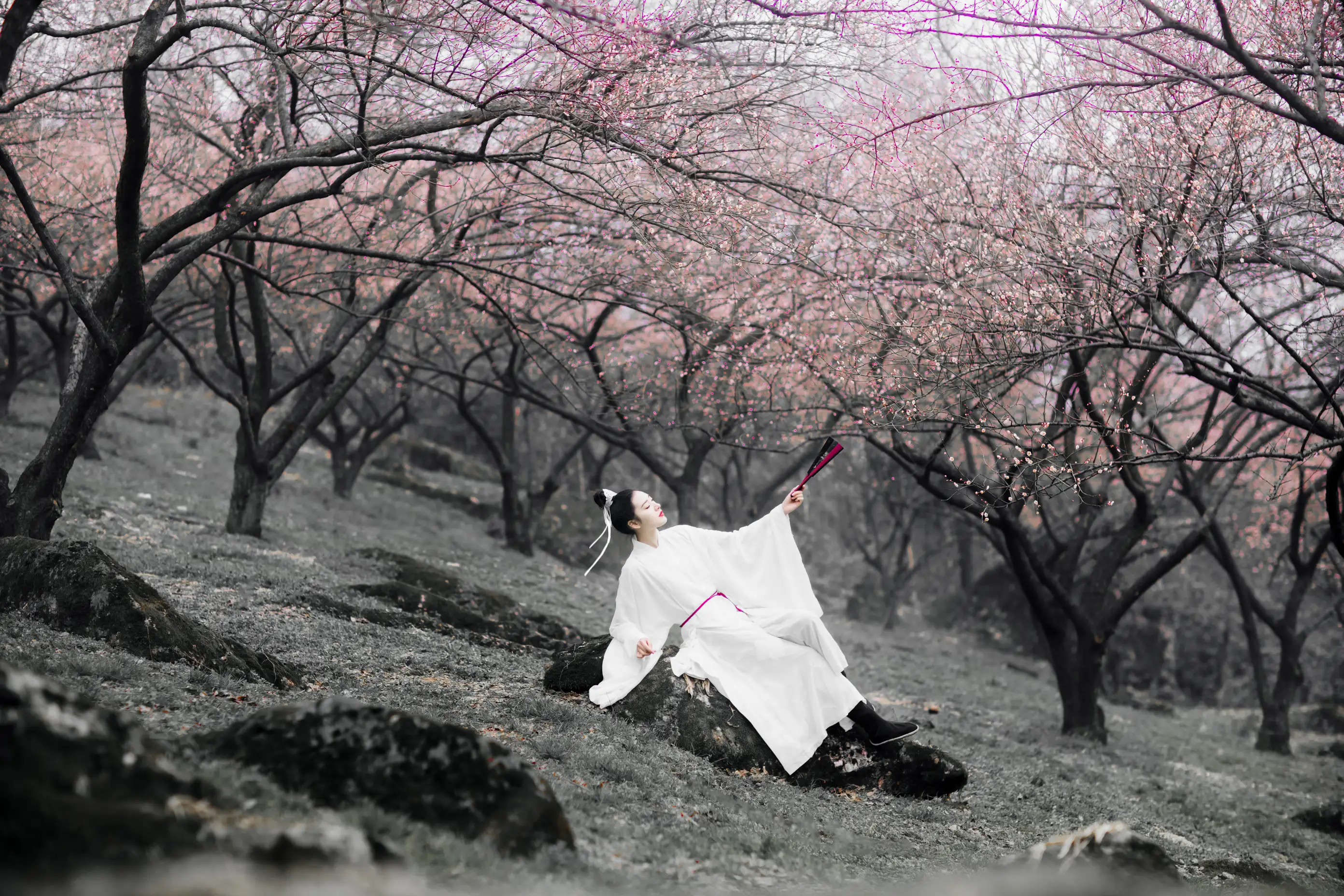 [艺图语] 2021.12.17 Vol.498 – 香如故 明月#[36P]-9