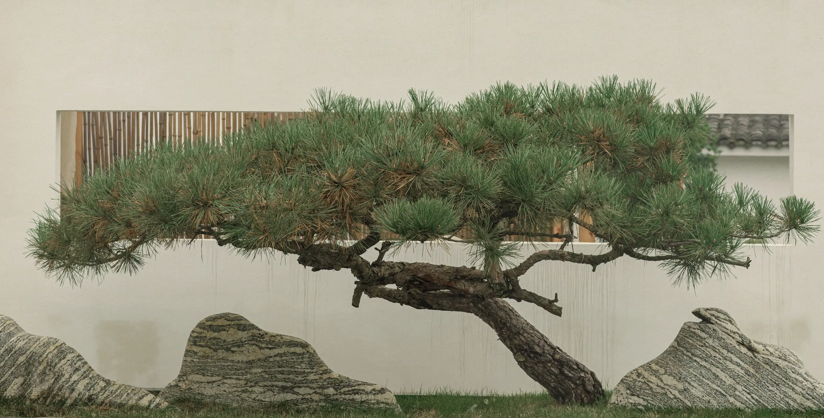 [艺图语] 2021.11.26 Vol.473 – 不二 古月#[23P]-9