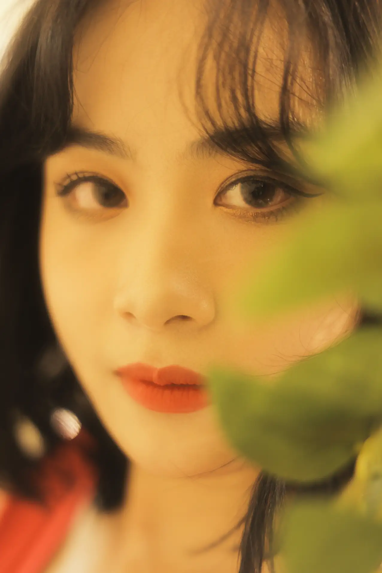 [艺图语] 2022.09.14 Vol.1946 – 花落知多少 小赖#[43P]-2