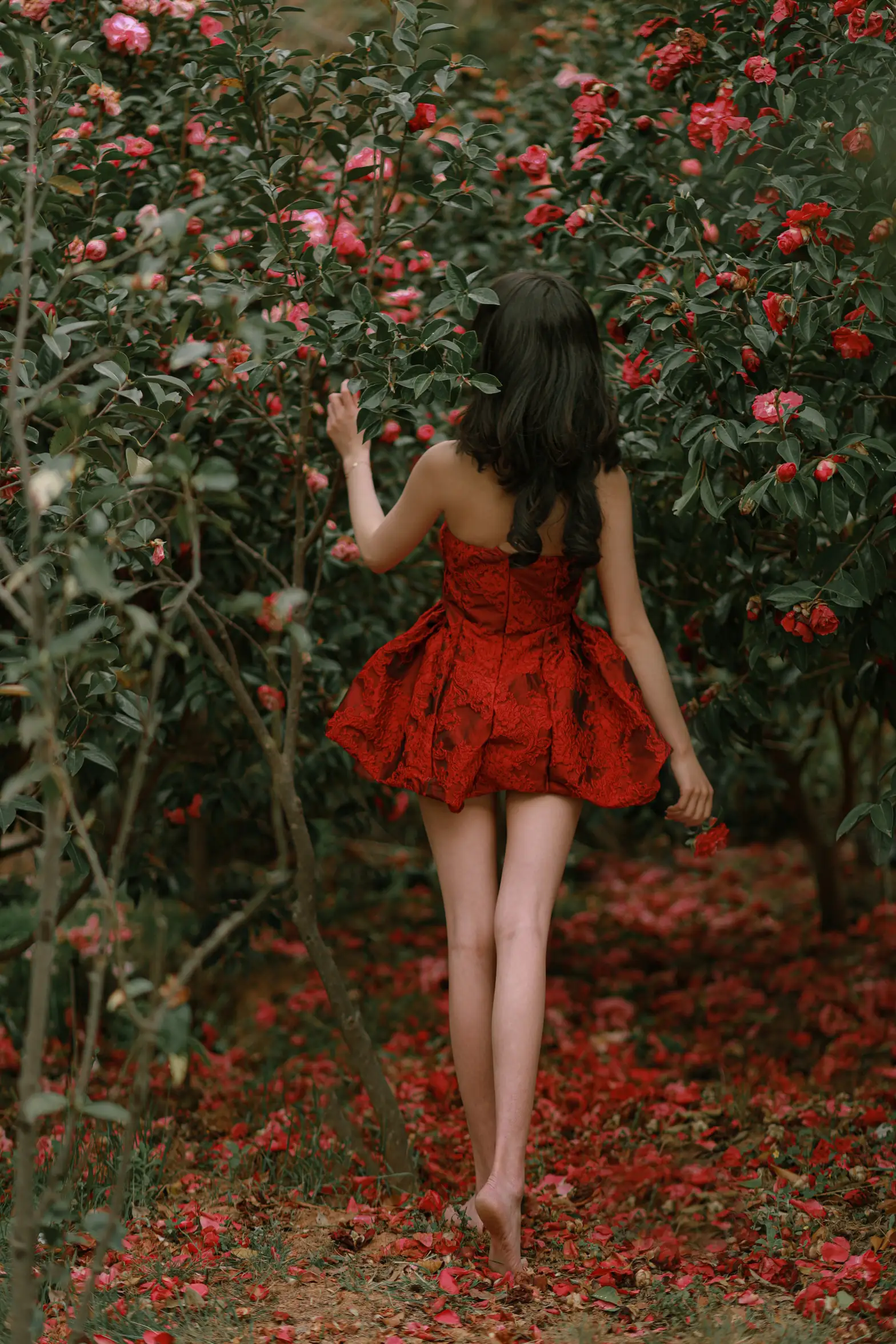 [艺图语] 2022.06.29 Vol.1324 – 落红 小朱#[47P]-7