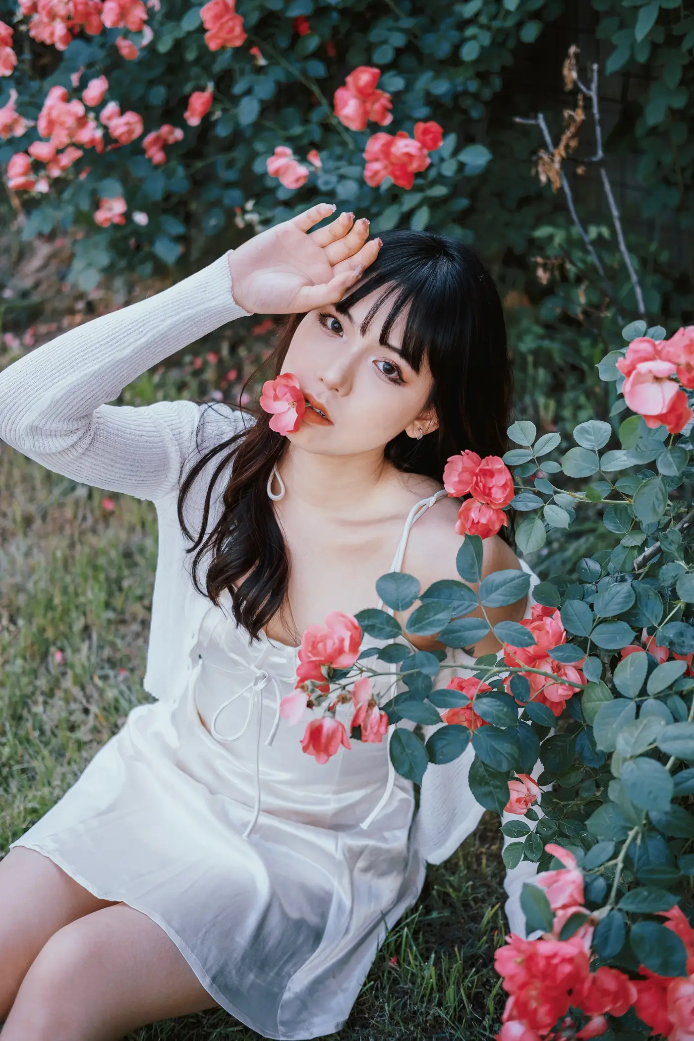 [艺图语] 2022.06.10 Vol.1137 – 蔷薇花下 依依#[25P]-5