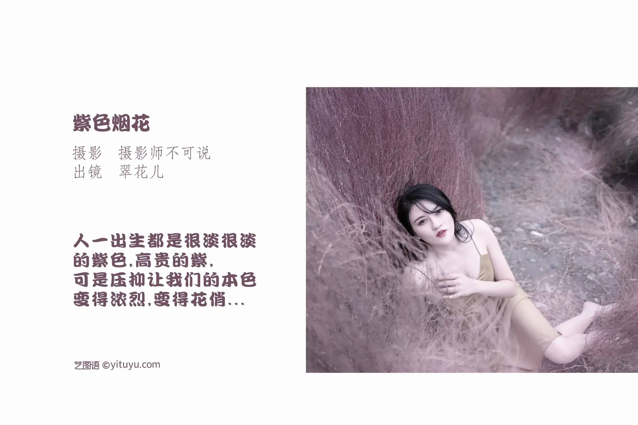 [艺图语] 2022.11.13 Vol.2432 – 紫色烟花 翠花儿#[28P]-2