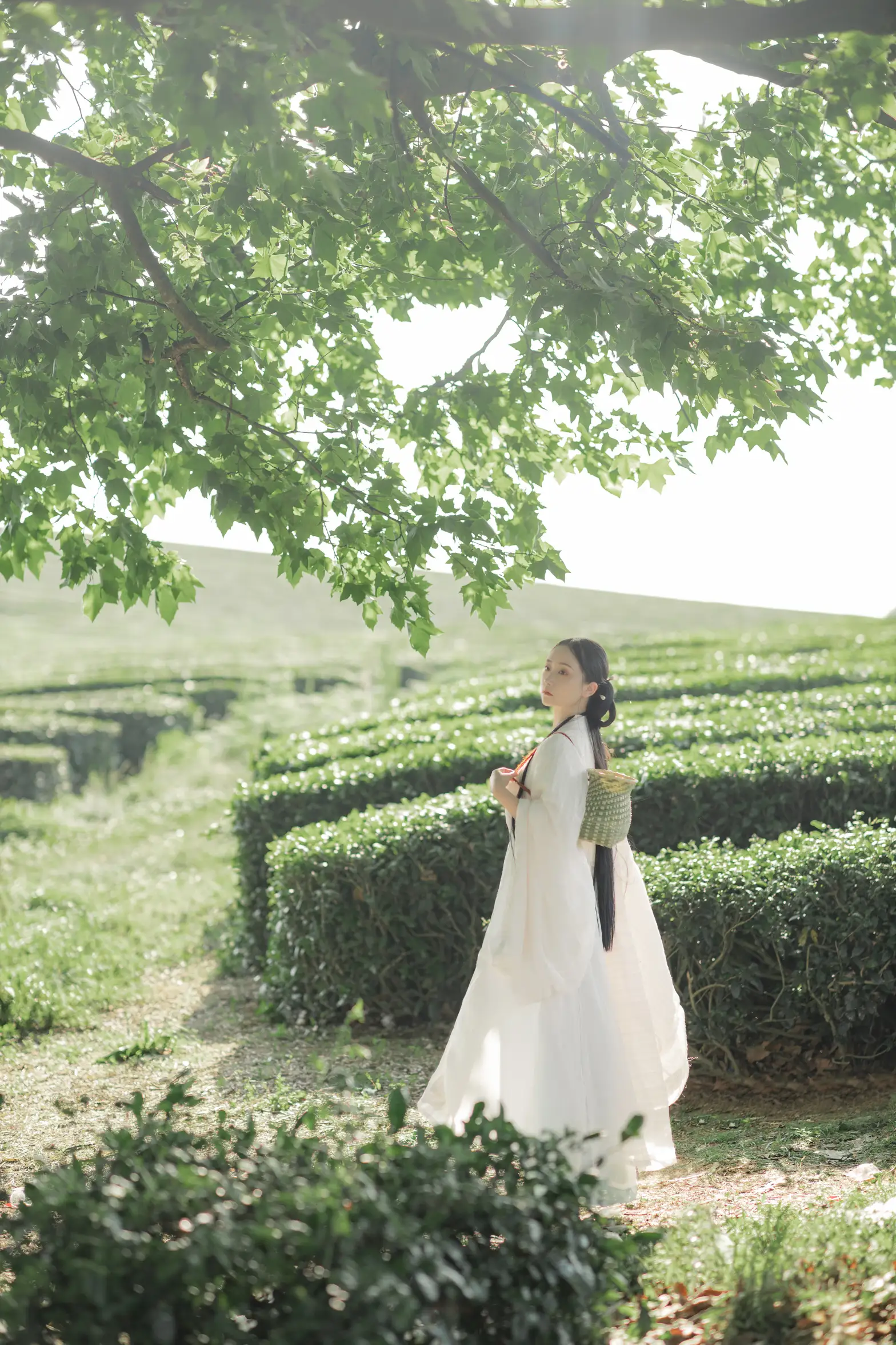 [艺图语] 2022.11.11 Vol.2415 – 衣袖染茶香 灿暖暖暖#[20P]-2