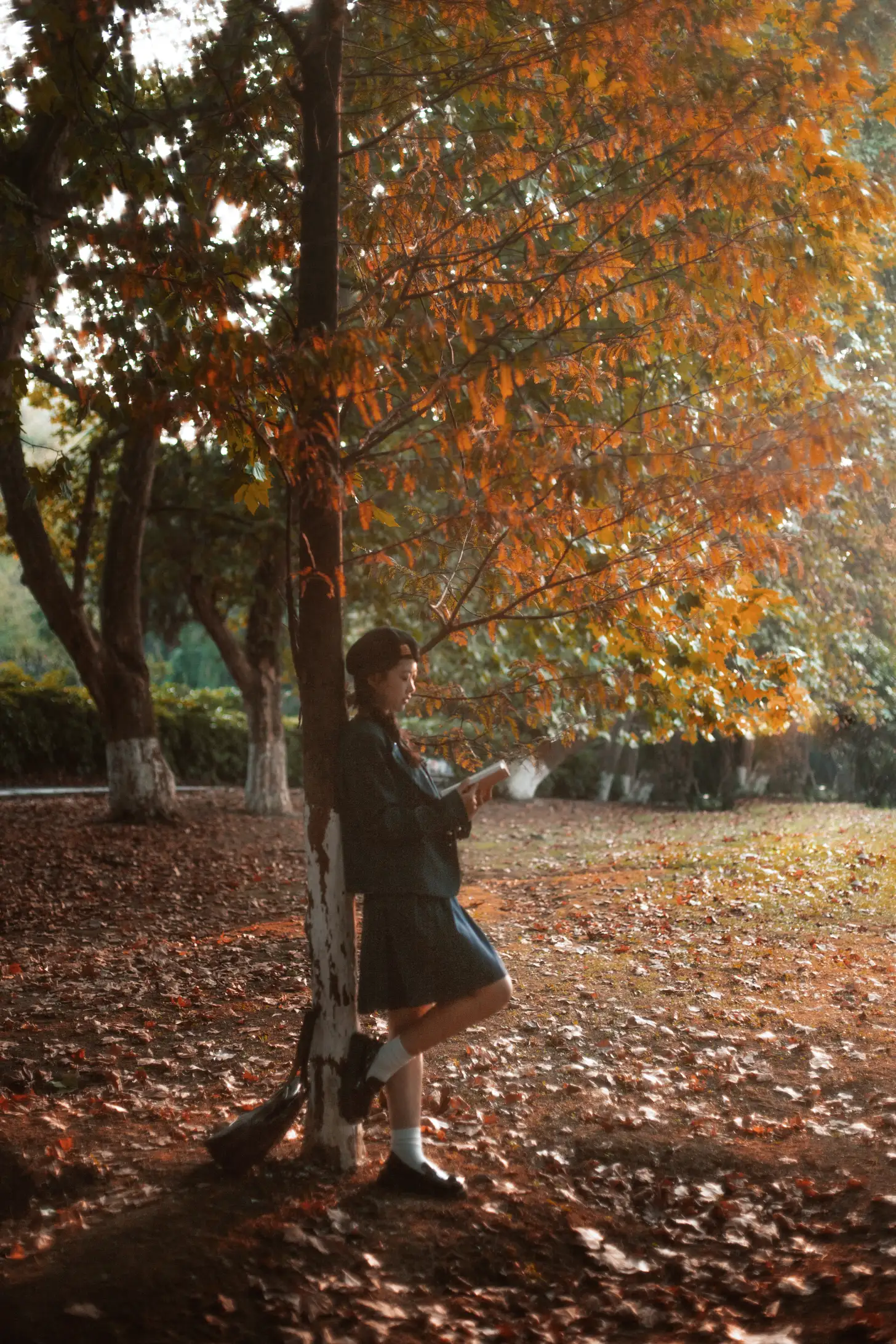 [艺图语] 2022.11.25 Vol.2521 被偷走的秋天#[22P]-4