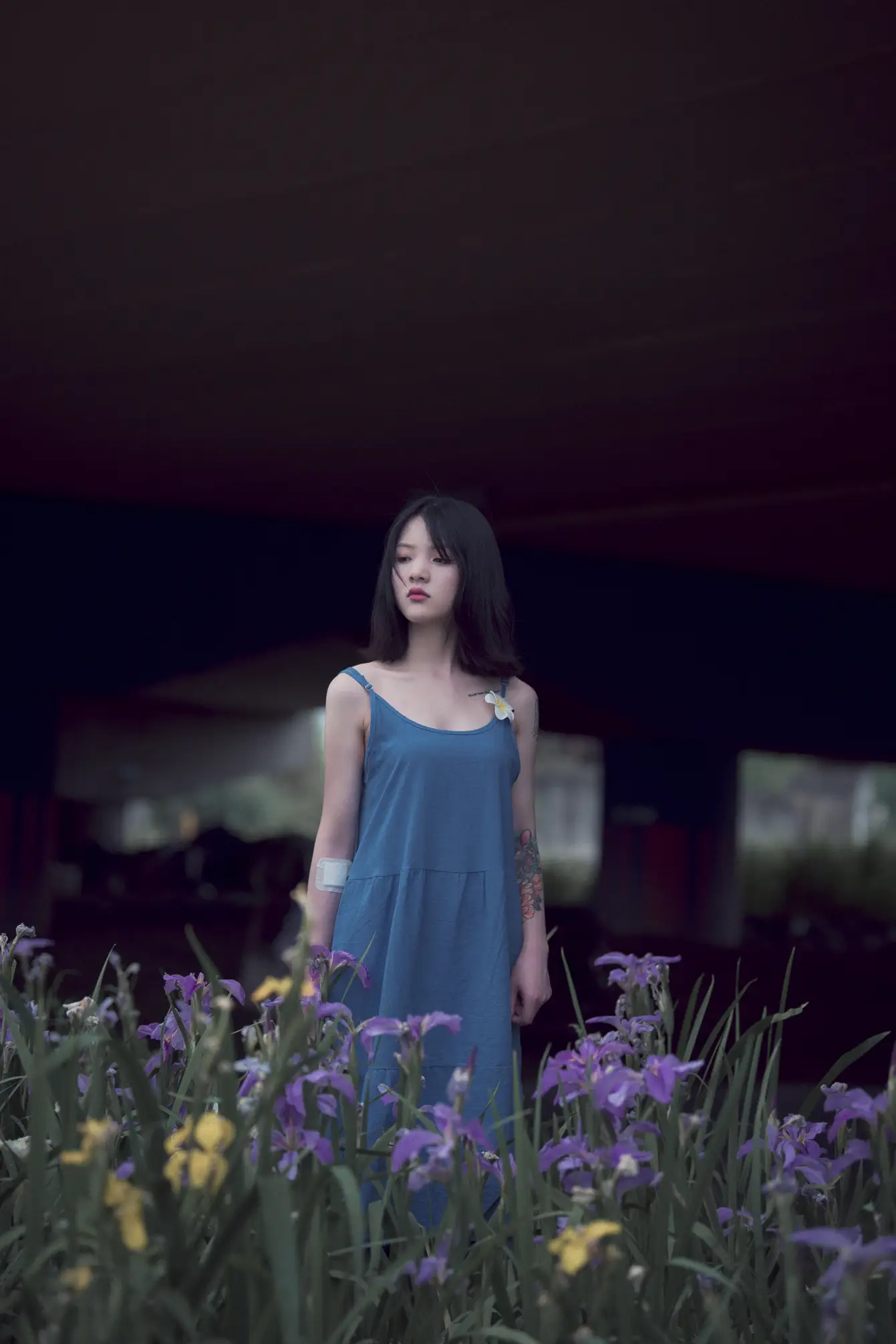 [艺图语] 2022.11.22 Vol.2497 不再清晨#[23P]-10