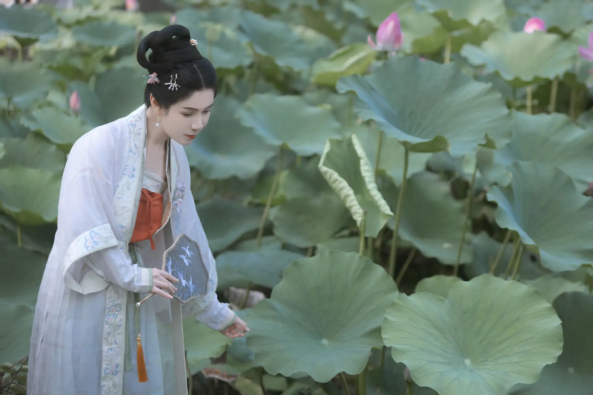 [艺图语] 2022.11.21 Vol.2495 – 陶然荷韵 周曦彤#[26P]-1