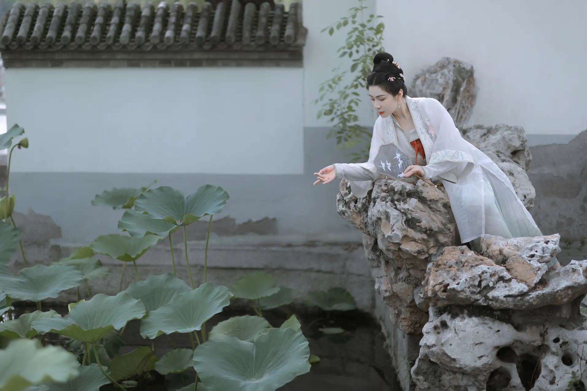 [艺图语] 2022.11.21 Vol.2495 – 陶然荷韵 周曦彤#[26P]-1