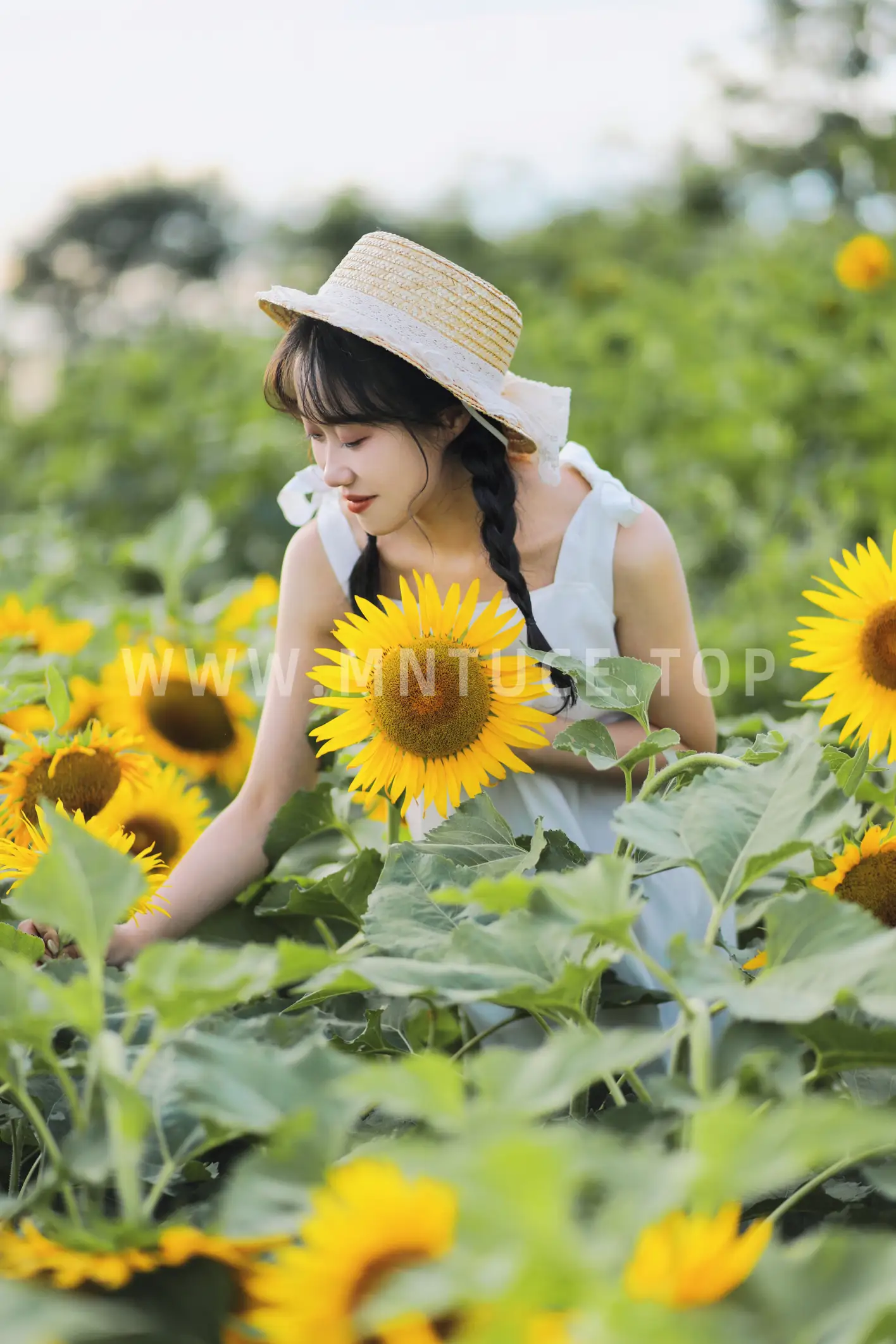 [艺图语] 2022.11.25 Vol.2528 向阳之花#[36P]-3